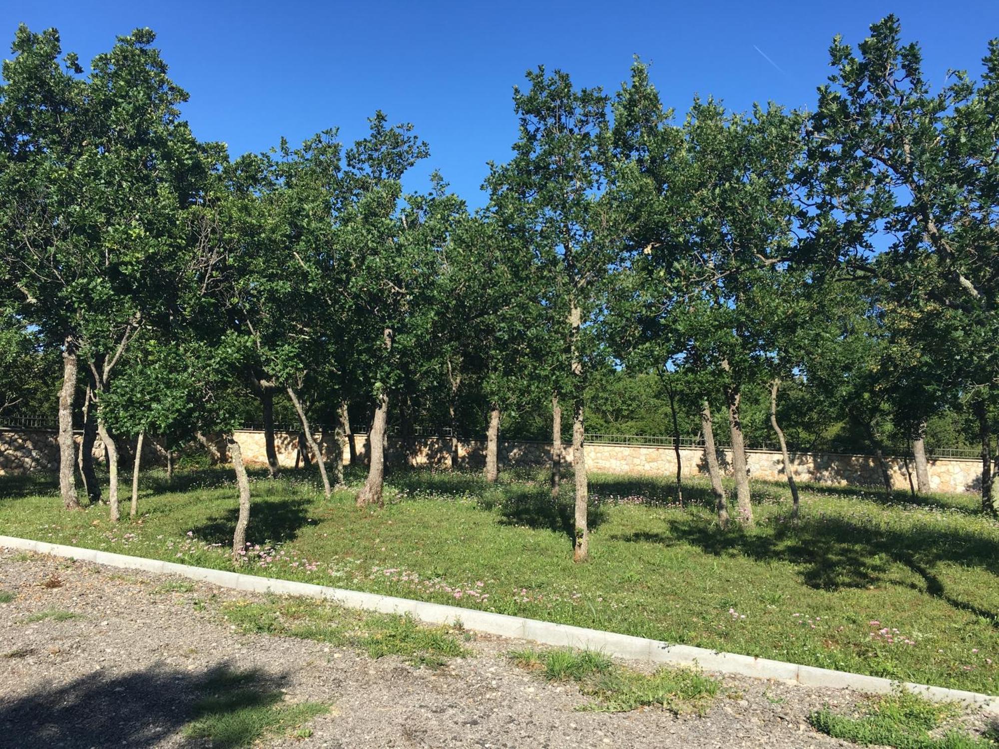 Ferienpark Micanovi Dvori Mobile Village Zrmanja 4*